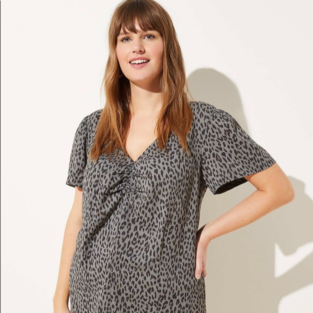 LOFT Leopard Print Cinched V-Neck Top